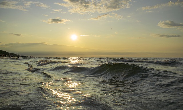 społeczna zbiórka w Polsce sukces projektu lokalnego